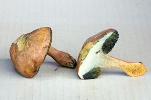 Klikni pro velký obrázek