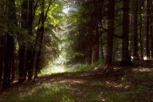 Klikni pro velký obrázek