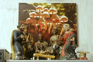 Klikni pro velký obrázek