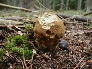 Klikni pro velký obrázek