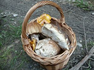 Klikni pro velký obrázek