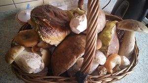 Klikni pro velký obrázek