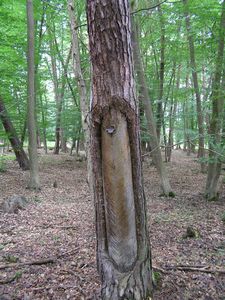 Klikni pro velký obrázek