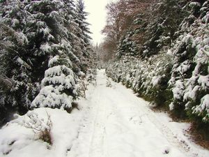 Klikni pro velký obrázek