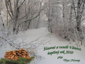 Klikni pro velký obrázek