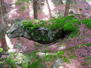 Klikni pro velký obrázek