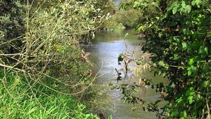 Klikni pro velký obrázek