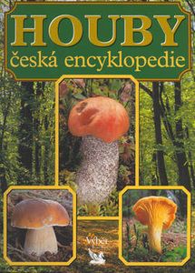 Klikni pro velký obrázek