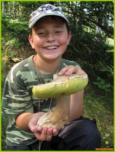 Klikni pro velký obrázek