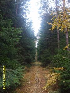 Klikni pro velký obrázek