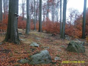 Klikni pro velký obrázek