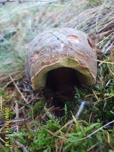 Klikni pro velký obrázek