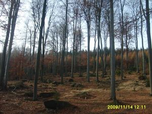 Klikni pro velký obrázek