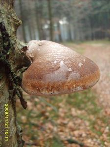 Klikni pro velký obrázek