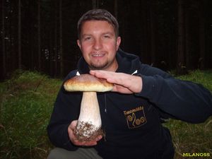 Klikni pro velký obrázek