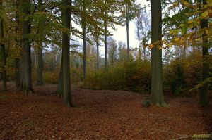 Klikni pro velký obrázek