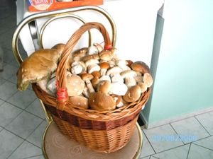 Klikni pro velký obrázek