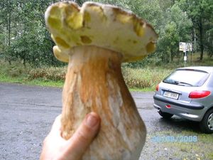 Klikni pro velký obrázek