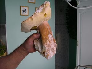 Klikni pro velký obrázek