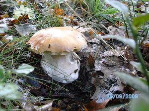 Klikni pro velký obrázek