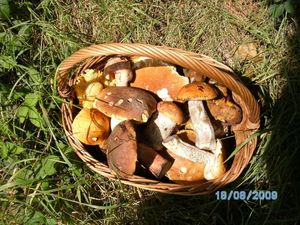 Klikni pro velký obrázek