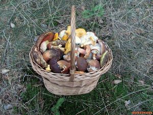 Klikni pro velký obrázek