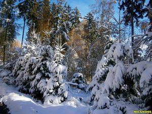 Klikni pro velký obrázek