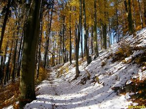 Klikni pro velký obrázek