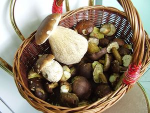 Klikni pro velký obrázek