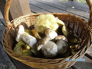 Klikni pro velký obrázek