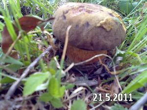 Klikni pro velký obrázek