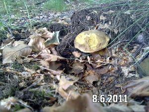 Klikni pro velký obrázek