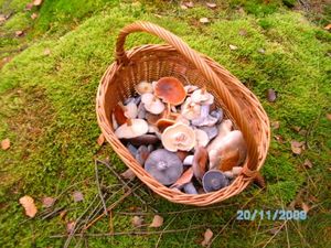 Klikni pro velký obrázek