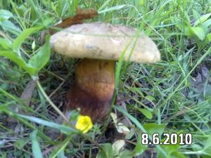 Klikni pro velký obrázek