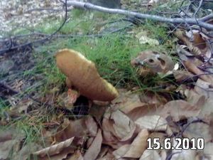 Klikni pro velký obrázek