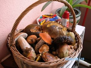 Klikni pro velký obrázek