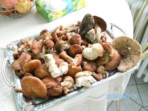 Klikni pro velký obrázek