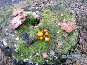 Klikni pro velký obrázek