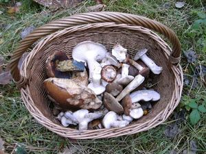 Klikni pro velký obrázek