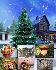 Klikni pro velký obrázek