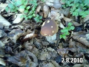 Klikni pro velký obrázek