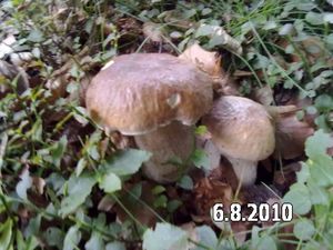 Klikni pro velký obrázek