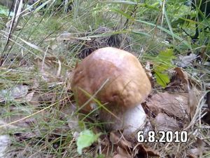 Klikni pro velký obrázek