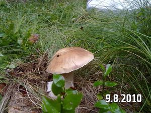 Klikni pro velký obrázek