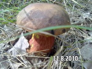 Klikni pro velký obrázek