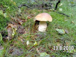 Klikni pro velký obrázek