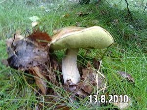 Klikni pro velký obrázek