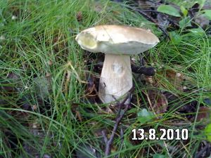 Klikni pro velký obrázek