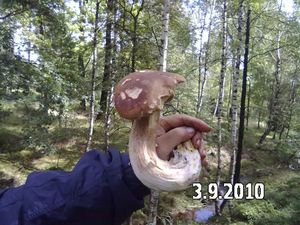 Klikni pro velký obrázek