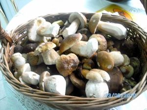 Klikni pro velký obrázek